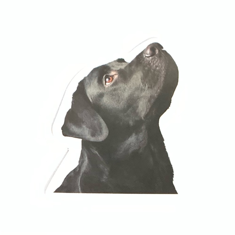 Labrador Vinyl Sticker